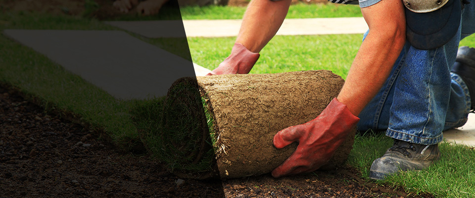 Littleton Landscapers